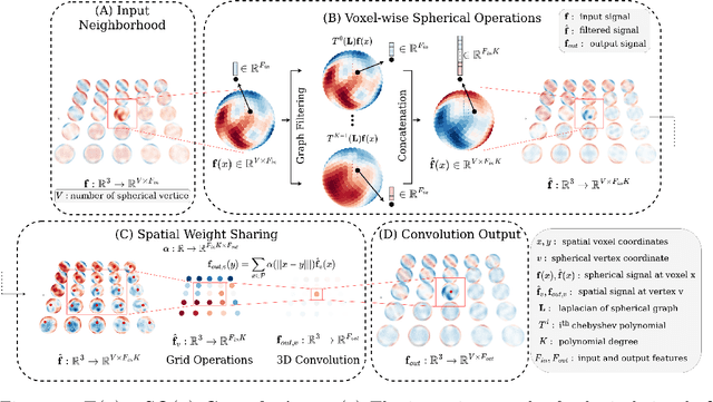 Figure 3 for $E \times SO$-Equivariant Networks for Spherical Deconvolution in Diffusion MRI