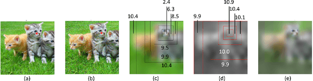 Figure 1 for Training on Foveated Images Improves Robustness to Adversarial Attacks