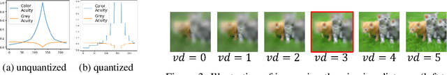 Figure 4 for Training on Foveated Images Improves Robustness to Adversarial Attacks