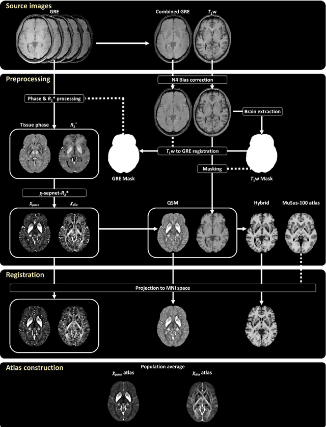 Figure 1 for A human brain atlas of chi-separation for normative iron and myelin distributions