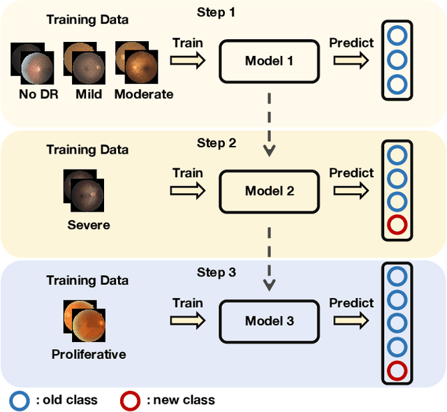 Figure 1 for Addressing Imbalance for Class Incremental Learning in Medical Image Classification