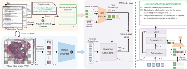 Figure 3 for Generalizable Whole Slide Image Classification with Fine-Grained Visual-Semantic Interaction