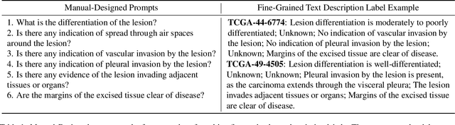 Figure 2 for Generalizable Whole Slide Image Classification with Fine-Grained Visual-Semantic Interaction