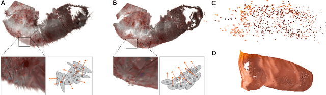 Figure 1 for Gaussian Pancakes: Geometrically-Regularized 3D Gaussian Splatting for Realistic Endoscopic Reconstruction