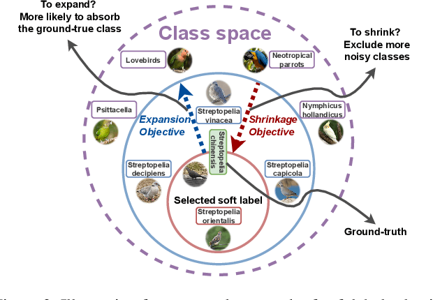 Figure 3 for Roll With the Punches: Expansion and Shrinkage of Soft Label Selection for Semi-supervised Fine-Grained Learning