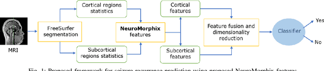 Figure 1 for NeuroMorphix: A Novel Brain MRI Asymmetry-specific Feature Construction Approach For Seizure Recurrence Prediction