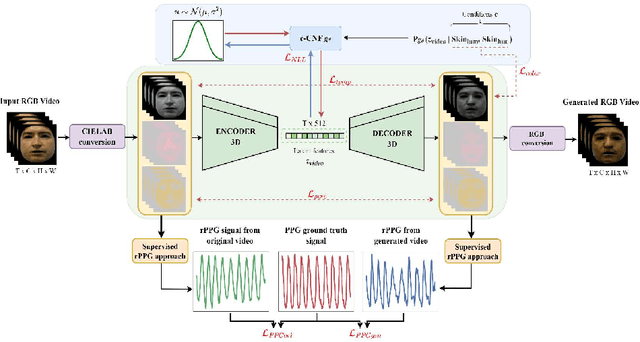 Figure 1 for PhysFlow: Skin tone transfer for remote heart rate estimation through conditional normalizing flows