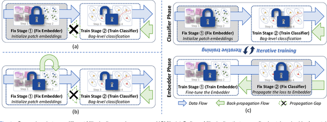 Figure 1 for Rethinking Multiple Instance Learning for Whole Slide Image Classification: A Bag-Level Classifier is a Good Instance-Level Teacher