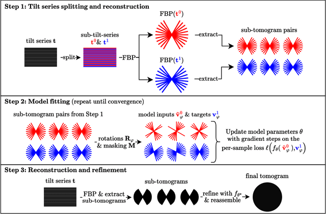 Figure 1 for A Deep Learning Method for Simultaneous Denoising and Missing Wedge Reconstruction in Cryogenic Electron Tomography