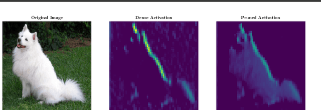 Figure 1 for PERP: Rethinking the Prune-Retrain Paradigm in the Era of LLMs