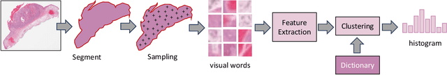 Figure 1 for Analysis and Validation of Image Search Engines in Histopathology