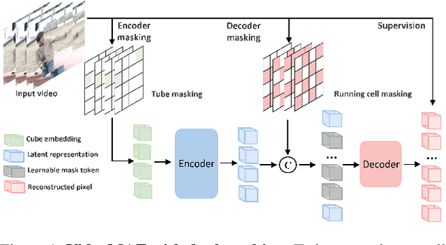 Figure 1 for VideoMAE V2: Scaling Video Masked Autoencoders with Dual Masking