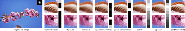 Figure 1 for Learning Detail-Structure Alternative Optimization for Blind Super-Resolution