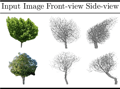 Figure 2 for Tree-D Fusion: Simulation-Ready Tree Dataset from Single Images with Diffusion Priors