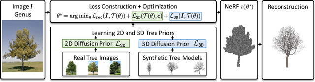 Figure 4 for Tree-D Fusion: Simulation-Ready Tree Dataset from Single Images with Diffusion Priors