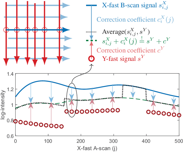 Figure 3 for A Spatiotemporal Illumination Model for 3D Image Fusion in Optical Coherence Tomography