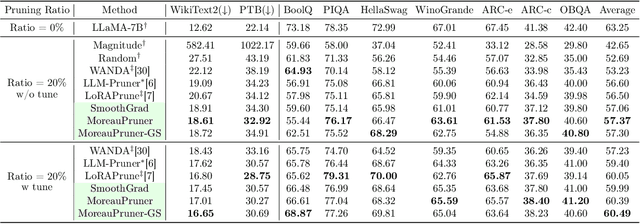 Figure 3 for MoreauPruner: Robust Pruning of Large Language Models against Weight Perturbations