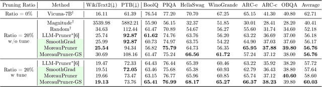 Figure 4 for MoreauPruner: Robust Pruning of Large Language Models against Weight Perturbations