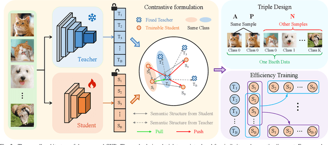 Figure 2 for CKD: Contrastive Knowledge Distillation from A Sample-wise Perspective