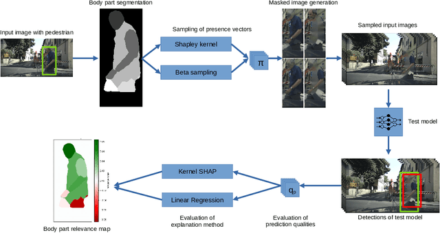 Figure 1 for Model-agnostic Body Part Relevance Assessment for Pedestrian Detection