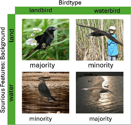 Figure 1 for Quantifying Spuriousness of Biased Datasets Using Partial Information Decomposition