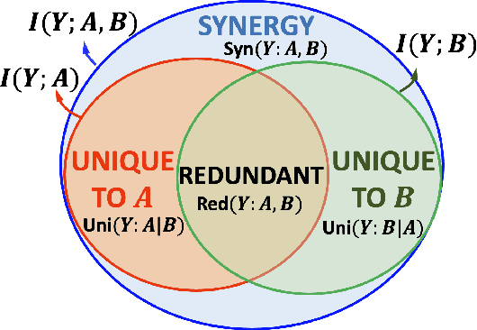 Figure 3 for Quantifying Spuriousness of Biased Datasets Using Partial Information Decomposition