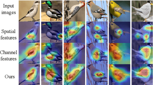 Figure 1 for Hybrid Feature Collaborative Reconstruction Network for Few-Shot Fine-Grained Image Classification