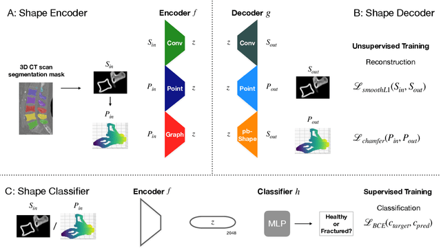 Figure 1 for Shape Matters: Detecting Vertebral Fractures Using Differentiable Point-Based Shape Decoding