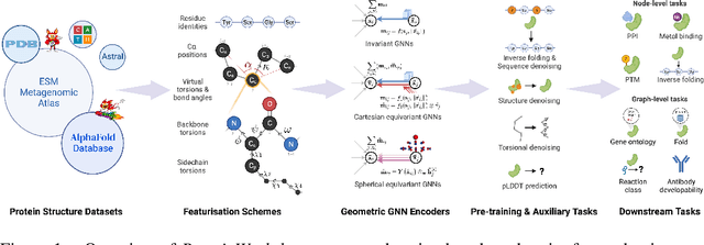 Figure 1 for Evaluating representation learning on the protein structure universe