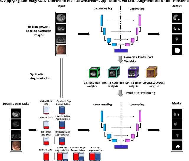 Figure 1 for RadImageGAN -- A Multi-modal Dataset-Scale Generative AI for Medical Imaging