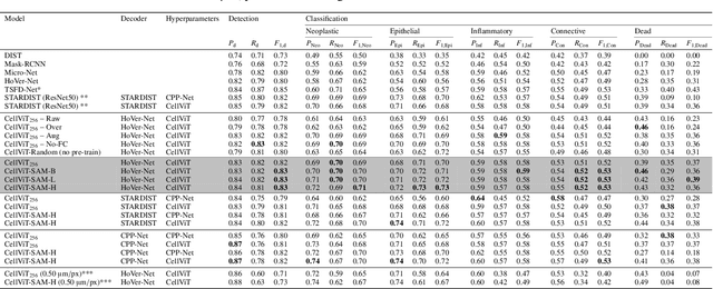 Figure 2 for CellViT: Vision Transformers for Precise Cell Segmentation and Classification