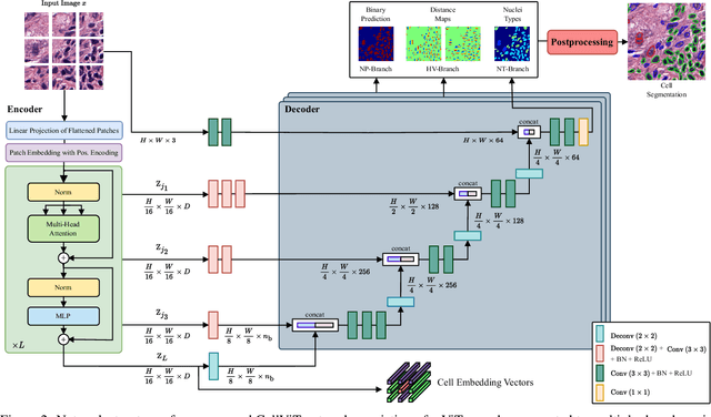 Figure 3 for CellViT: Vision Transformers for Precise Cell Segmentation and Classification