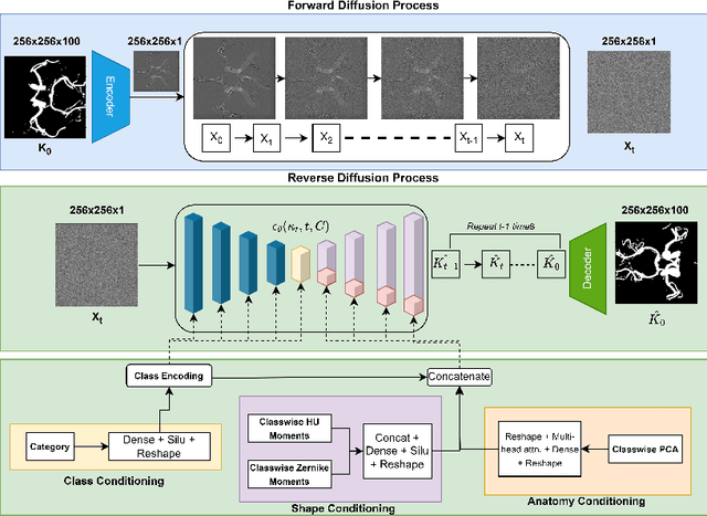 Figure 1 for Shape-guided Conditional Latent Diffusion Models for Synthesising Brain Vasculature