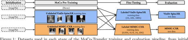 Figure 1 for MoCo-Transfer: Investigating out-of-distribution contrastive learning for limited-data domains