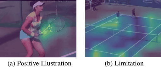 Figure 1 for Exploring Explainability in Video Action Recognition