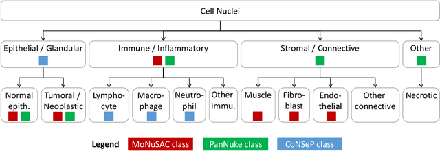 Figure 1 for Combining Datasets with Different Label Sets for Improved Nucleus Segmentation and Classification