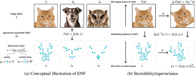 Figure 1 for Grounding Continuous Representations in Geometry: Equivariant Neural Fields