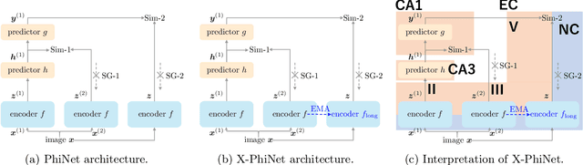 Figure 1 for PhiNets: Brain-inspired Non-contrastive Learning Based on Temporal Prediction Hypothesis