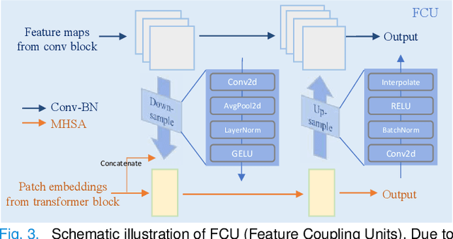 Figure 3 for ScribFormer: Transformer Makes CNN Work Better for Scribble-based Medical Image Segmentation