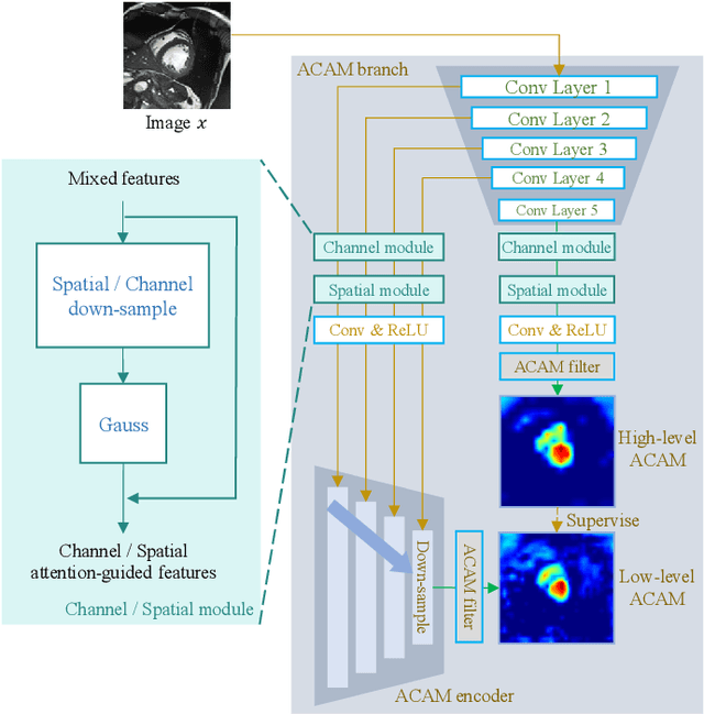 Figure 4 for ScribFormer: Transformer Makes CNN Work Better for Scribble-based Medical Image Segmentation