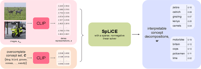 Figure 1 for Interpreting CLIP with Sparse Linear Concept Embeddings (SpLiCE)