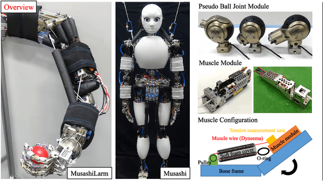 Figure 1 for Long-time Self-body Image Acquisition and its Application to the Control of Musculoskeletal Structures