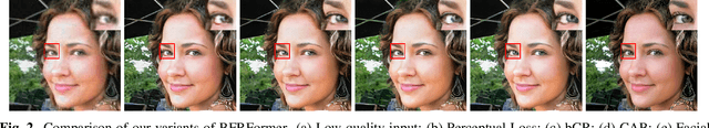 Figure 3 for BFRFormer: Transformer-based generator for Real-World Blind Face Restoration