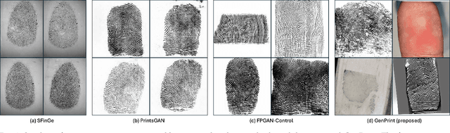 Figure 1 for Universal Fingerprint Generation: Controllable Diffusion Model with Multimodal Conditions