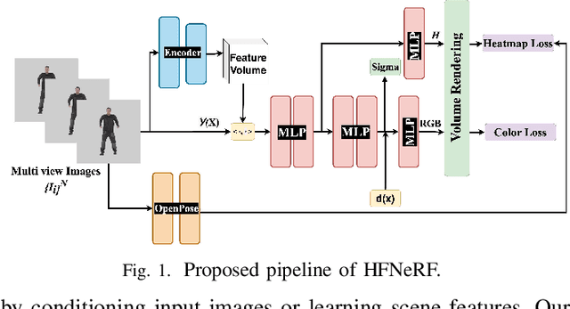 Figure 1 for HFNeRF: Learning Human Biomechanic Features with Neural Radiance Fields