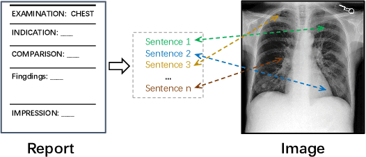 Figure 1 for Multimodal self-supervised learning for lesion localization