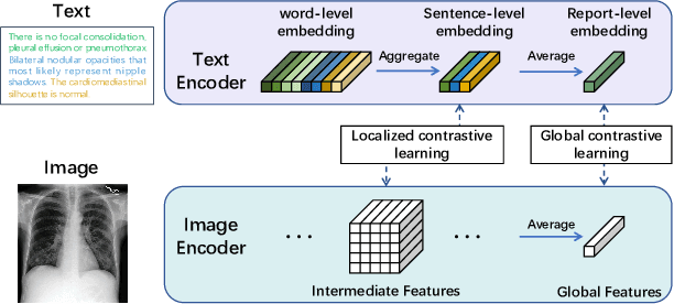 Figure 3 for Multimodal self-supervised learning for lesion localization