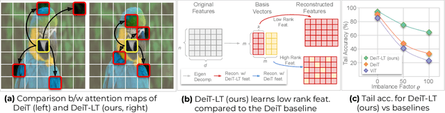 Figure 1 for DeiT-LT Distillation Strikes Back for Vision Transformer Training on Long-Tailed Datasets