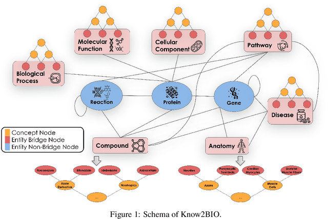 Figure 2 for Know2BIO: A Comprehensive Dual-View Benchmark for Evolving Biomedical Knowledge Graphs