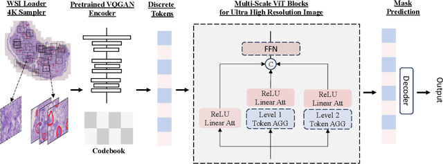 Figure 3 for HoloHisto: End-to-end Gigapixel WSI Segmentation with 4K Resolution Sequential Tokenization